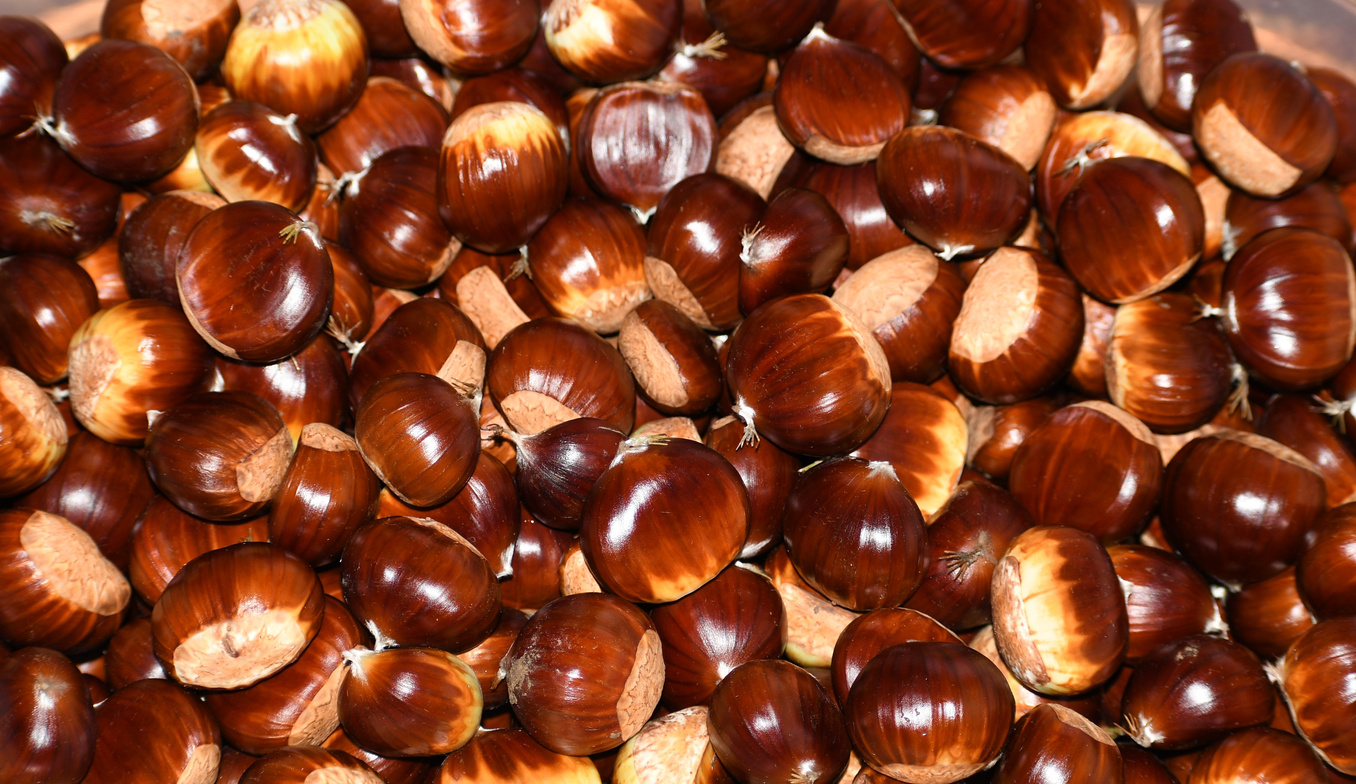 Chestnuts in Detail